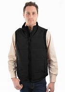 Image result for Tim Cook Fleece Vest