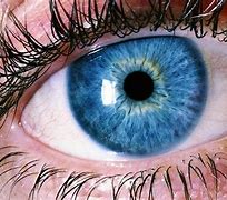 Image result for Eye Photography