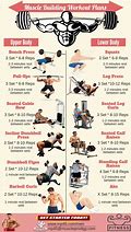 Image result for Full Body Workout Build Muscle