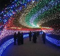 Image result for Tunnel of Lights Japan