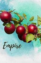 Image result for Dwarf Red Delicious Apple Tree