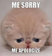 Image result for Sorry Cute Animal