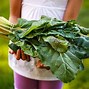 Image result for Buy Local Food or Grow Your Food