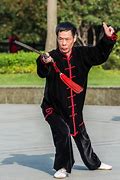 Image result for Chinese Martial Arts