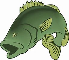 Image result for Bass Fish Silhouette