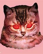 Image result for Red Cat Eye Frames