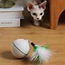 Image result for Automated Cat Toys