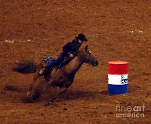 Image result for Barrel Racing Wall Art