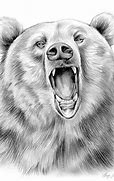 Image result for Drawing of Bear Head