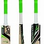 Image result for Best Cricket Bat in the World