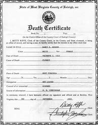 Image result for Death Certificate Format