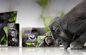 Image result for Vetro Gorilla Glass