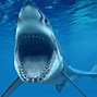Image result for iPhone Shark Explode
