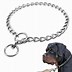 Image result for Dog Choker Collar