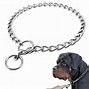 Image result for Dog Chain Clips