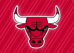 Image result for Chicago Bulls Logo Gold