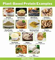 Image result for Plant Protein Food List