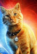 Image result for Goose Cat Space Galaxy