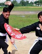 Image result for Fan Style Martial Arts