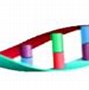 Image result for DNA Clone