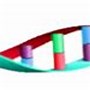 Image result for Molecular Cloning Techniques
