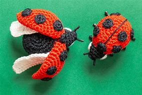 Image result for Crochet Ladybug