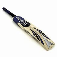 Image result for Good Cricket Bat for Kids