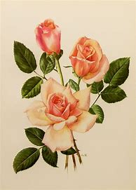 Image result for Vintage Flower Drawings