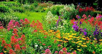 Image result for Country Gardens Beautiful Spring Flowers