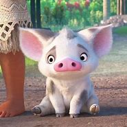 Image result for Disney Moana Pig