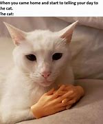 Image result for Cat with Hands Crossed Meme