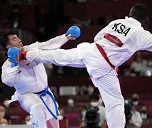 Image result for Olympic Karate Gold Medalist