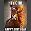 Image result for Happy Birthday Melissa Meme Horse