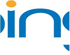 Image result for Microsoft Bing Original Logo