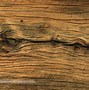 Image result for Tree Wood Grain Background