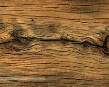 Image result for Oak Wood Grain Texture