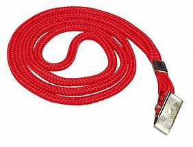 Image result for Belt Lanyard Clip