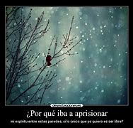 Image result for apropincuarse