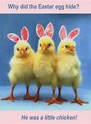 Image result for Funny Happy Easter Pictures