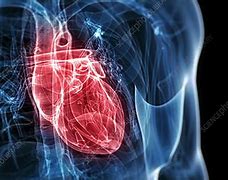 Image result for A Beating Heart