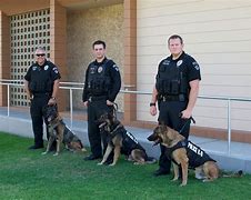 Image result for Rialto Police Department