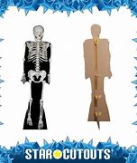 Image result for Cardboard Cut Out Skeleton
