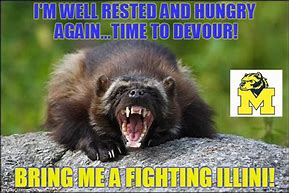 Image result for Wolverine Animal Meme