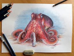 Image result for Colorful Octopus Drawing