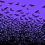 Image result for Scary Bat Face