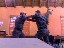 Image result for Military Fighting Techniques