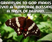 Image result for 30 Days of Gratefulness