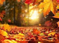 Image result for Fall Photos