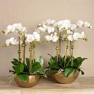 Image result for fake artificial orchid