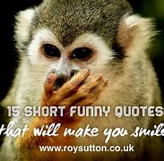 Image result for A Funny Saying